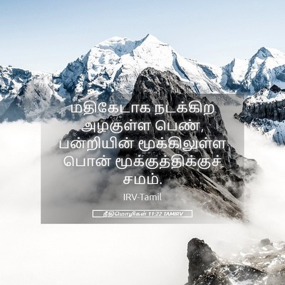 Picture 05 - நீதிமொழிகள் 11:22 TAMIRV - மதிகேடாக நடக்கிற - Bible Verse Picture