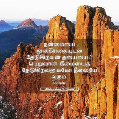 Picture 05 - நீதிமொழிகள் 11:27 TAMIRV - நன்மையை - Bible Verse Picture