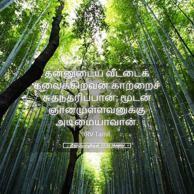 Picture 05 - நீதிமொழிகள் 11:29 TAMIRV - தன்னுடைய வீட்டைக் - Bible Verse Picture