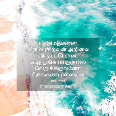 Picture 05 - நீதிமொழிகள் 12:1 TAMIRV - புத்திமதிகளை - Bible Verse Picture