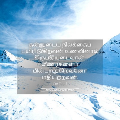 Picture 05 - நீதிமொழிகள் 12:11 TAMIRV - தன்னுடைய - Bible Verse Picture