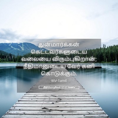Picture 05 - நீதிமொழிகள் 12:12 TAMIRV - துன்மார்க்கன் - Bible Verse Picture