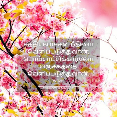 Picture 05 - நீதிமொழிகள் 12:17 TAMIRV - சத்தியவாசகன் - Bible Verse Picture