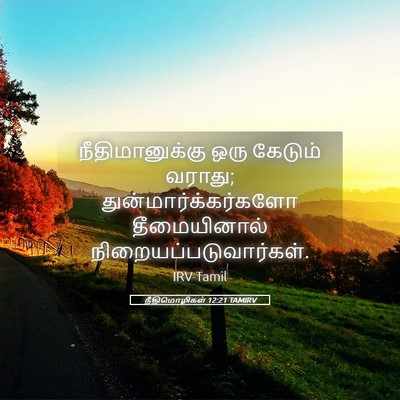 Picture 05 - நீதிமொழிகள் 12:21 TAMIRV - நீதிமானுக்கு ஒரு - Bible Verse Picture