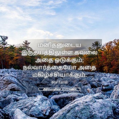 Picture 05 - நீதிமொழிகள் 12:25 TAMIRV - மனிதனுடைய - Bible Verse Picture