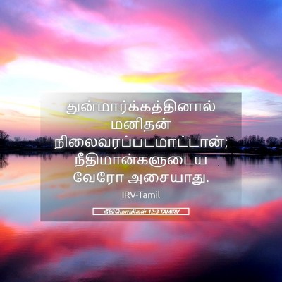 Picture 05 - நீதிமொழிகள் 12:3 TAMIRV -  - Bible Verse Picture