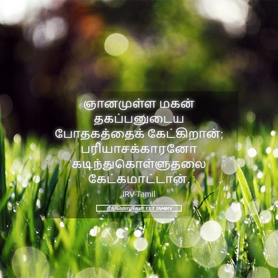 Picture 05 - நீதிமொழிகள் 13:1 TAMIRV - ஞானமுள்ள மகன் - Bible Verse Picture