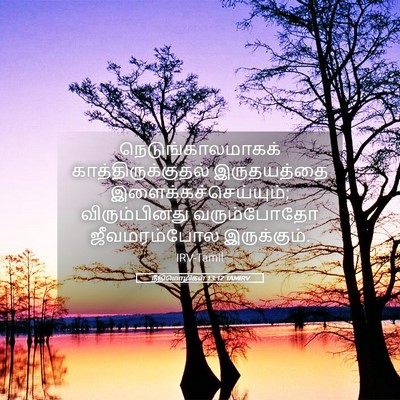 Picture 05 - நீதிமொழிகள் 13:12 TAMIRV - நெடுங்காலமாகக் - Bible Verse Picture