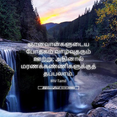 Picture 05 - நீதிமொழிகள் 13:14 TAMIRV - ஞானவான்களுடைய - Bible Verse Picture