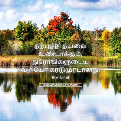 Picture 05 - நீதிமொழிகள் 13:15 TAMIRV - நற்புத்தி தயவை - Bible Verse Picture