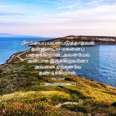 Picture 05 - நீதிமொழிகள் 13:24 TAMIRV - பிரம்பைப் - Bible Verse Picture