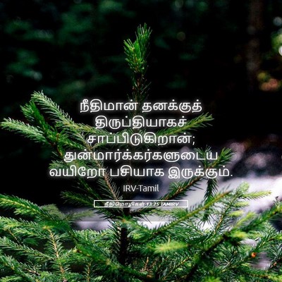 Picture 05 - நீதிமொழிகள் 13:25 TAMIRV - நீதிமான் தனக்குத் - Bible Verse Picture