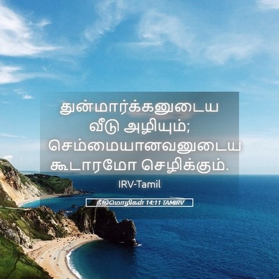 Picture 05 - நீதிமொழிகள் 14:11 TAMIRV - துன்மார்க்கனுடைய - Bible Verse Picture