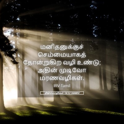 Picture 05 - நீதிமொழிகள் 14:12 TAMIRV - மனிதனுக்குச் - Bible Verse Picture