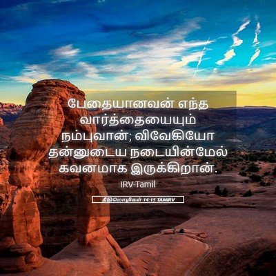 Picture 05 - நீதிமொழிகள் 14:15 TAMIRV - பேதையானவன் எந்த - Bible Verse Picture