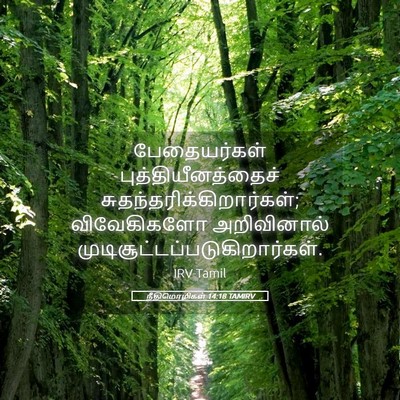 Picture 05 - நீதிமொழிகள் 14:18 TAMIRV - பேதையர்கள் - Bible Verse Picture