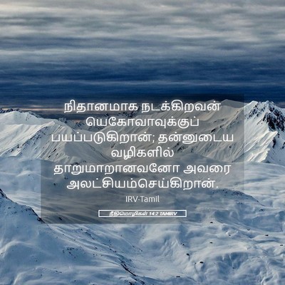 Picture 05 - நீதிமொழிகள் 14:2 TAMIRV - நிதானமாக - Bible Verse Picture