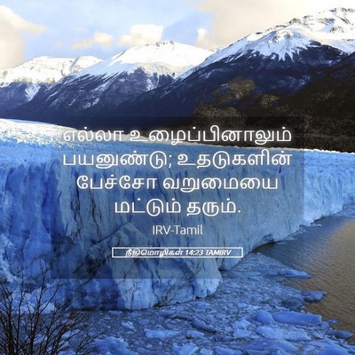 Picture 05 - நீதிமொழிகள் 14:23 TAMIRV - எல்லா - Bible Verse Picture