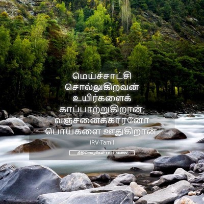 Picture 05 - நீதிமொழிகள் 14:25 TAMIRV - மெய்ச்சாட்சி - Bible Verse Picture