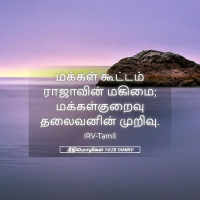Picture 05 - நீதிமொழிகள் 14:28 TAMIRV - மக்கள் கூட்டம் - Bible Verse Picture