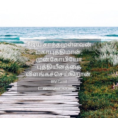 Picture 05 - நீதிமொழிகள் 14:29 TAMIRV - நீடிய - Bible Verse Picture