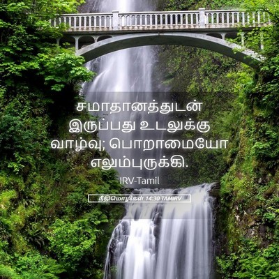 Picture 05 - நீதிமொழிகள் 14:30 TAMIRV - சமாதானத்துடன் - Bible Verse Picture