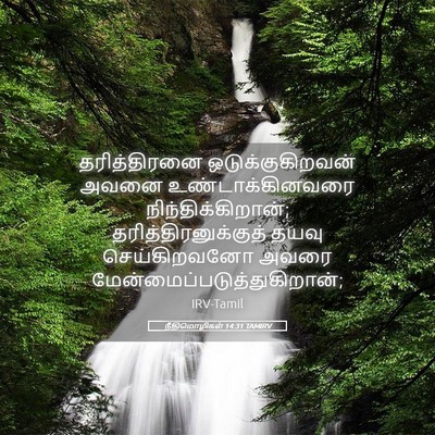 Picture 05 - நீதிமொழிகள் 14:31 TAMIRV - தரித்திரனை - Bible Verse Picture
