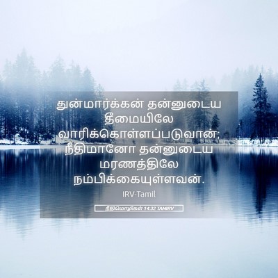 Picture 05 - நீதிமொழிகள் 14:32 TAMIRV - துன்மார்க்கன் - Bible Verse Picture