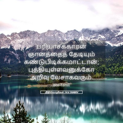 Picture 05 - நீதிமொழிகள் 14:6 TAMIRV - பரியாசக்காரன் - Bible Verse Picture
