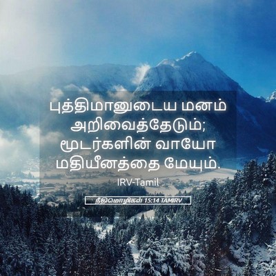 Picture 05 - நீதிமொழிகள் 15:14 TAMIRV - புத்திமானுடைய - Bible Verse Picture