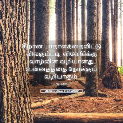 Picture 05 - நீதிமொழிகள் 15:24 TAMIRV - கீழான - Bible Verse Picture