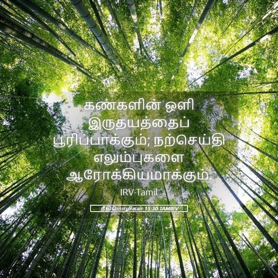 Picture 05 - நீதிமொழிகள் 15:30 TAMIRV - கண்களின் ஒளி - Bible Verse Picture