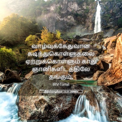Picture 05 - நீதிமொழிகள் 15:31 TAMIRV - வாழ்வுக்கேதுவான - Bible Verse Picture