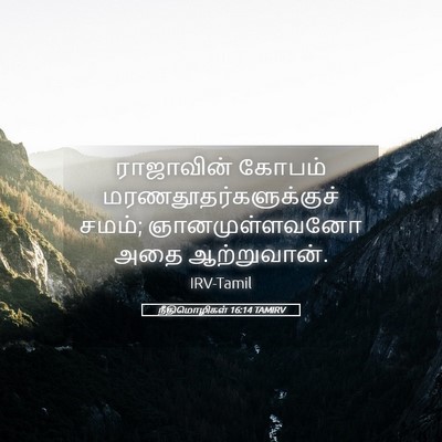 Picture 05 - நீதிமொழிகள் 16:14 TAMIRV - ராஜாவின் கோபம் - Bible Verse Picture