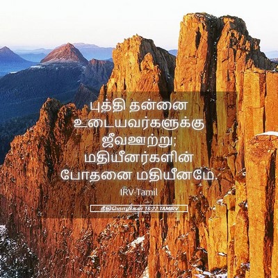 Picture 05 - நீதிமொழிகள் 16:22 TAMIRV - புத்தி தன்னை - Bible Verse Picture