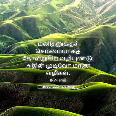Picture 05 - நீதிமொழிகள் 16:25 TAMIRV - மனிதனுக்குச் - Bible Verse Picture