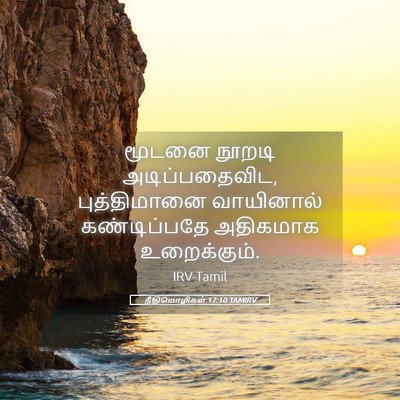 Picture 05 - நீதிமொழிகள் 17:10 TAMIRV - மூடனை நூறடி - Bible Verse Picture