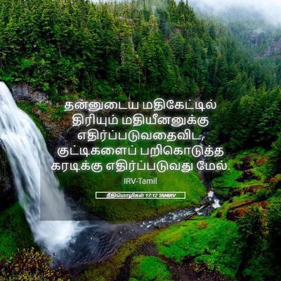 Picture 05 - நீதிமொழிகள் 17:12 TAMIRV - தன்னுடைய - Bible Verse Picture