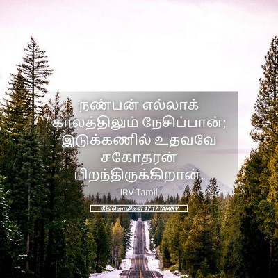 Picture 05 - நீதிமொழிகள் 17:17 TAMIRV - நண்பன் எல்லாக் - Bible Verse Picture