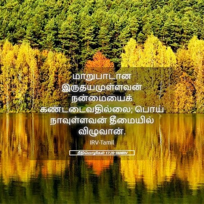 Picture 05 - நீதிமொழிகள் 17:20 TAMIRV - மாறுபாடான - Bible Verse Picture