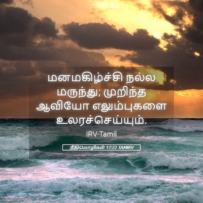 Picture 05 - நீதிமொழிகள் 17:22 TAMIRV - மனமகிழ்ச்சி நல்ல - Bible Verse Picture