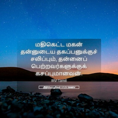 Picture 05 - நீதிமொழிகள் 17:25 TAMIRV - மதிகெட்ட மகன் - Bible Verse Picture