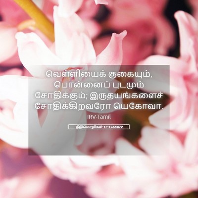 Picture 05 - நீதிமொழிகள் 17:3 TAMIRV - வெள்ளியைக் - Bible Verse Picture