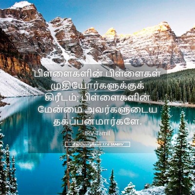 Picture 05 - நீதிமொழிகள் 17:6 TAMIRV - பிள்ளைகளின் - Bible Verse Picture