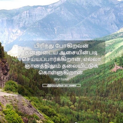 Picture 05 - நீதிமொழிகள் 18:1 TAMIRV - பிரிந்து போகிறவன் - Bible Verse Picture