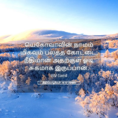 Picture 05 - நீதிமொழிகள் 18:10 TAMIRV - யெகோவாவின் நாமம் - Bible Verse Picture