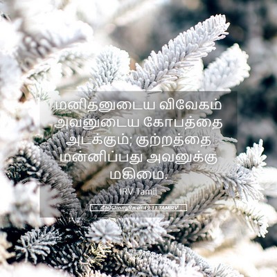 Picture 05 - நீதிமொழிகள் 19:11 TAMIRV - மனிதனுடைய விவேகம் - Bible Verse Picture