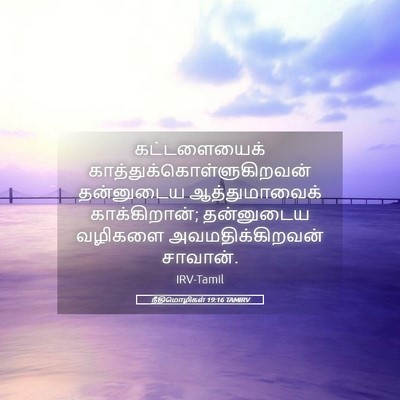 Picture 05 - நீதிமொழிகள் 19:16 TAMIRV - கட்டளையைக் - Bible Verse Picture