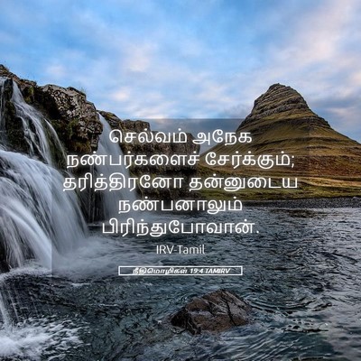Picture 05 - நீதிமொழிகள் 19:4 TAMIRV - செல்வம் அநேக - Bible Verse Picture