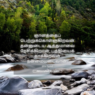 Picture 05 - நீதிமொழிகள் 19:8 TAMIRV - ஞானத்தைப் - Bible Verse Picture